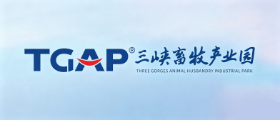 客户 Logo 24